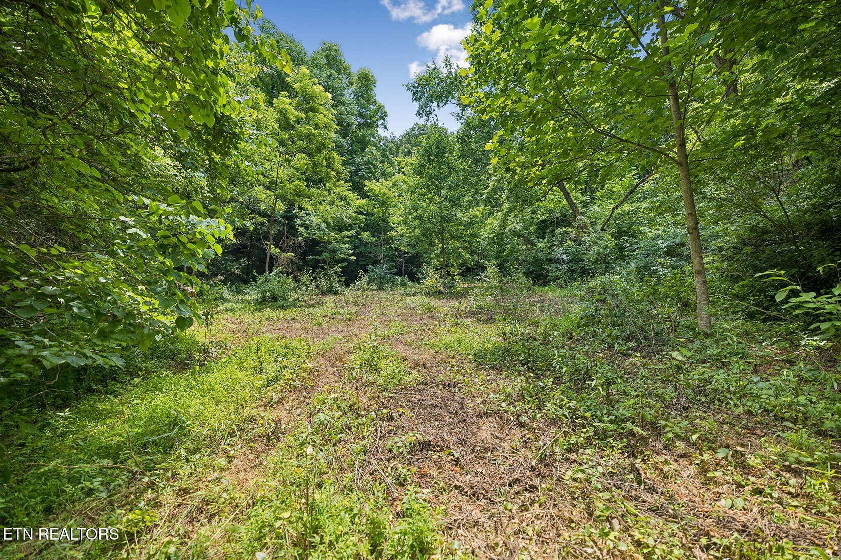 39.3 Acres of Land for Sale in Rutledge, Tennessee