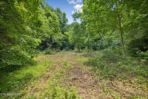 39.3 Acres of Land for Sale in Rutledge, Tennessee