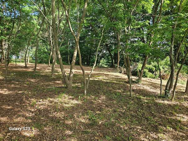 0.93 Acres of Land for Sale in Coral, Michigan