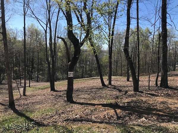 0.52 Acres of Residential Land for Sale in Spring City, Tennessee