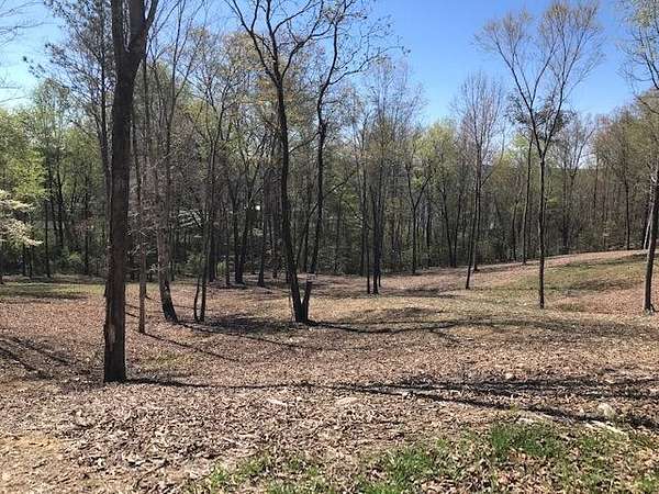 0.55 Acres of Residential Land for Sale in Spring City, Tennessee