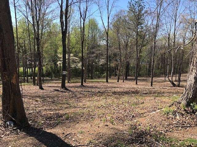 0.6 Acres of Residential Land for Sale in Spring City, Tennessee
