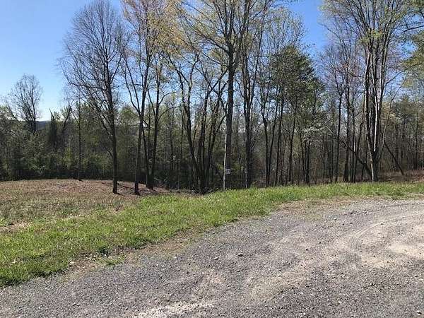 0.56 Acres of Residential Land for Sale in Spring City, Tennessee