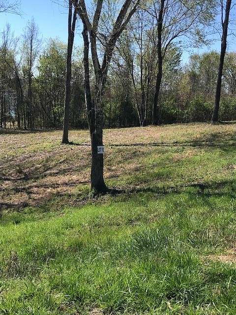 0.51 Acres of Residential Land for Sale in Spring City, Tennessee
