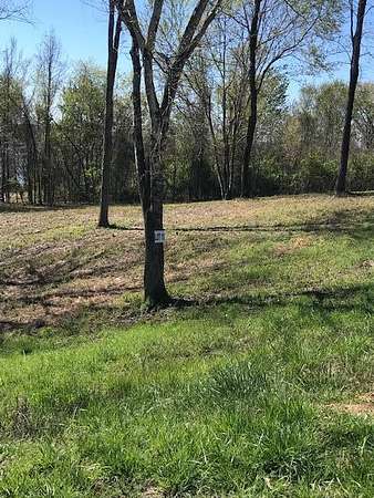 0.51 Acres of Residential Land for Sale in Spring City, Tennessee