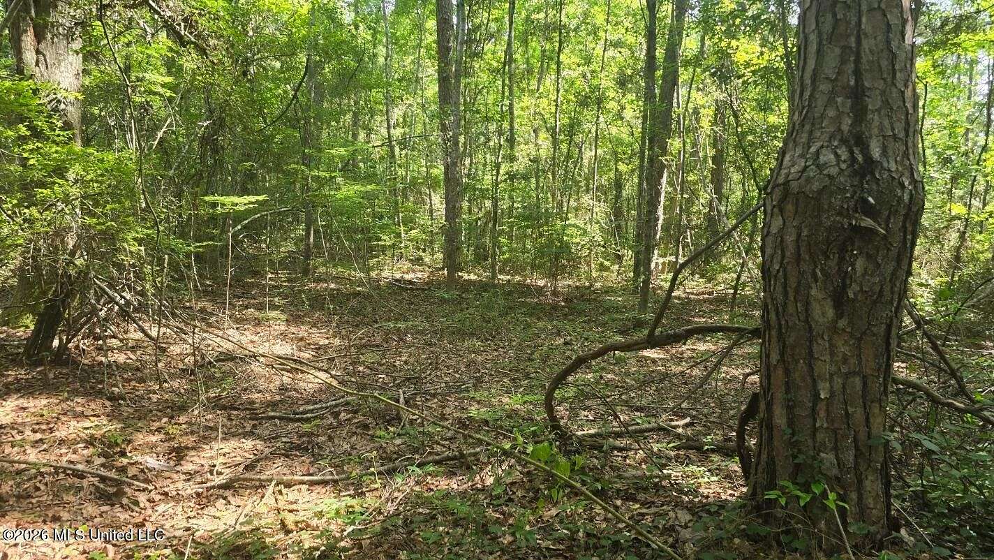 37 Acres of Land for Sale in State Line, Mississippi