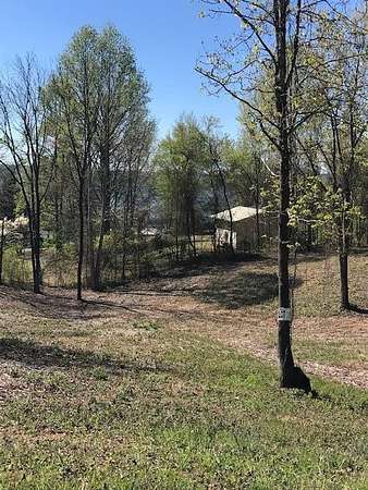 0.49 Acres of Residential Land for Sale in Spring City, Tennessee
