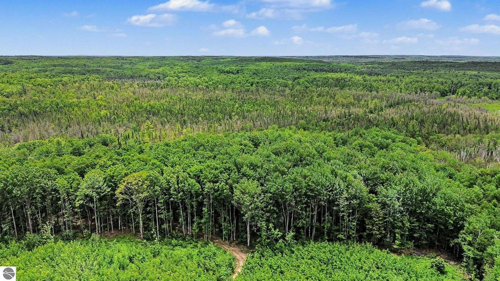 10 Acres of Recreational Land for Sale in Kalkaska, Michigan