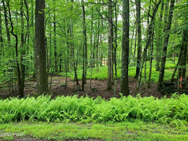 0.45 Acres of Residential Land for Sale in Hawley, Pennsylvania