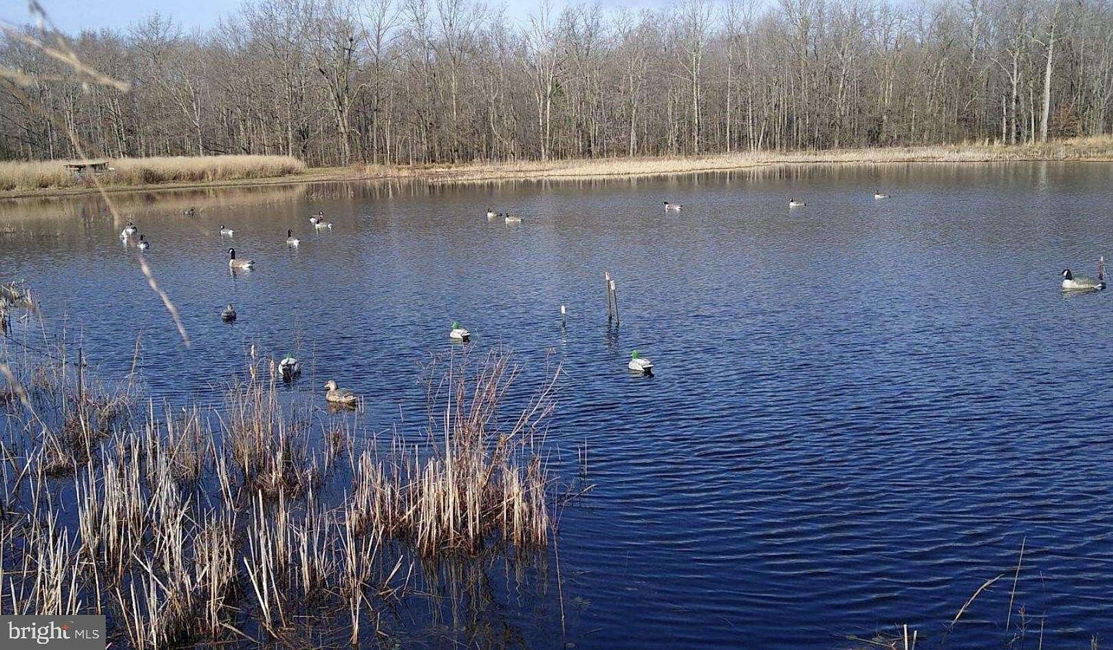 106 Acres of Land with Home for Sale in Golts, Maryland