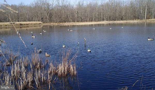 106 Acres of Land with Home for Sale in Golts, Maryland