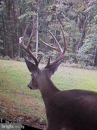 106 Acres of Recreational Land with Home for Sale in Golts, Maryland