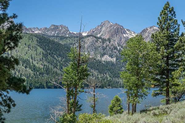 0.23 Acres of Residential Land for Sale in Bridgeport, California