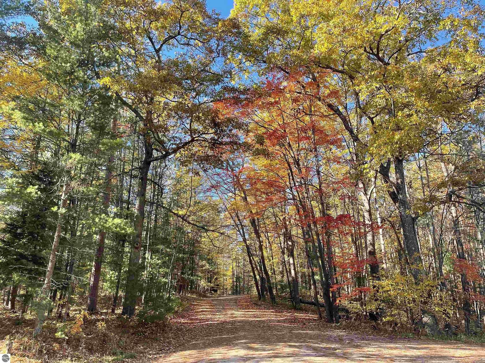 6.62 Acres of Land for Sale in Williamsburg, Michigan