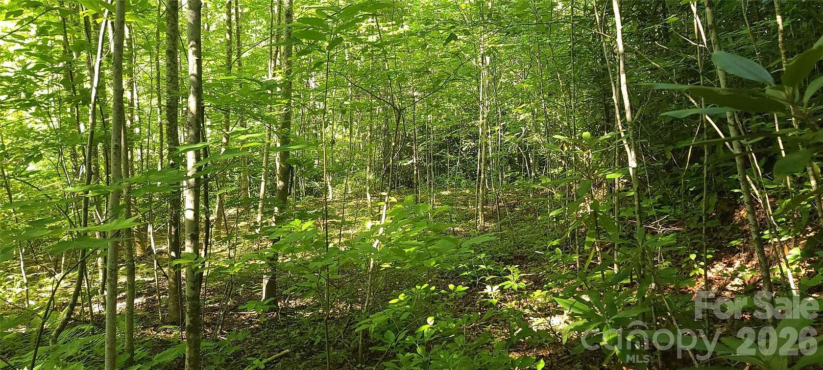 1 Acre of Residential Land for Sale in Old Fort, North Carolina