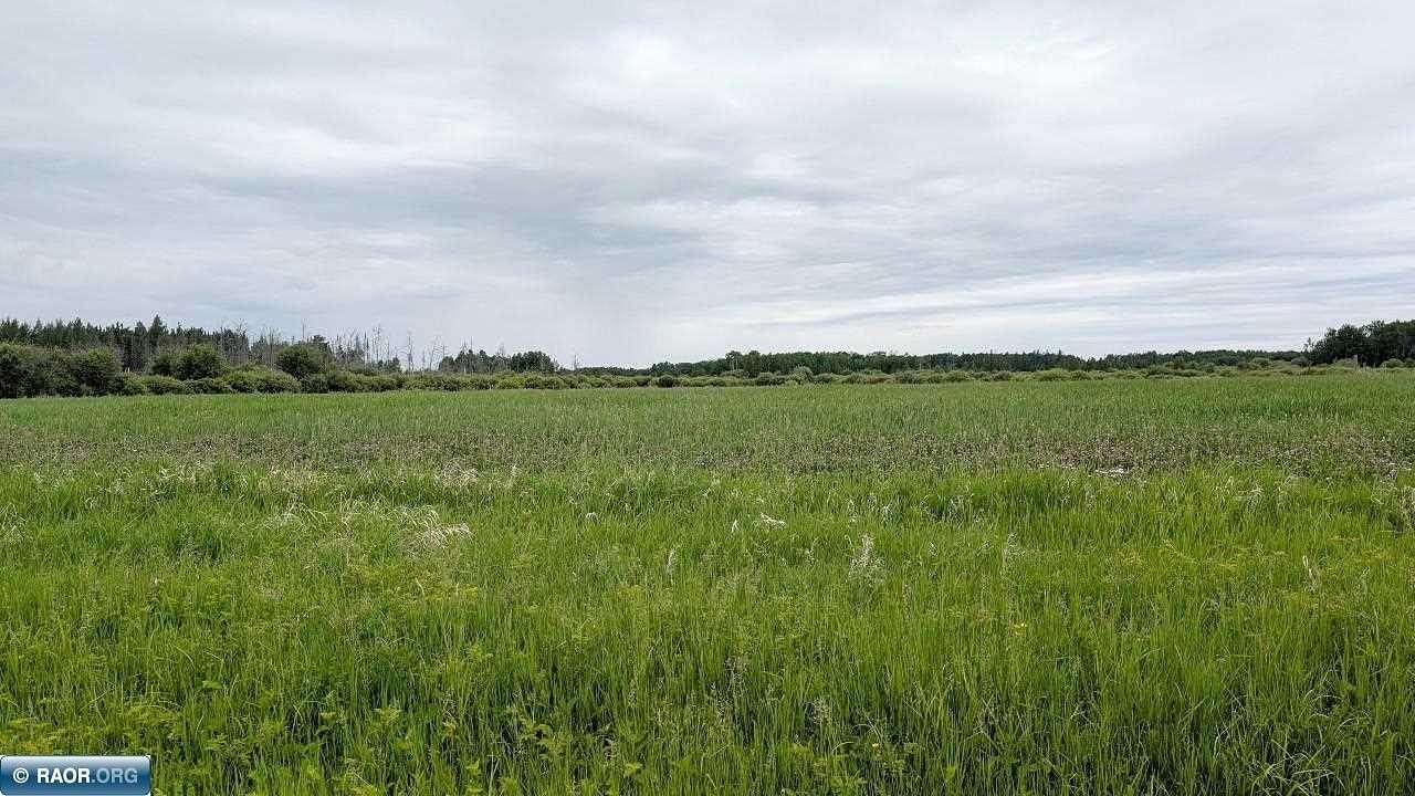80 Acres of Land for Sale in Angora, Minnesota