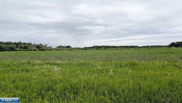 80 Acres of Land for Sale in Angora, Minnesota
