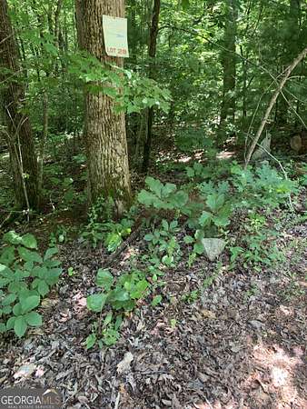 0.35 Acres of Land for Sale in Clayton, Georgia