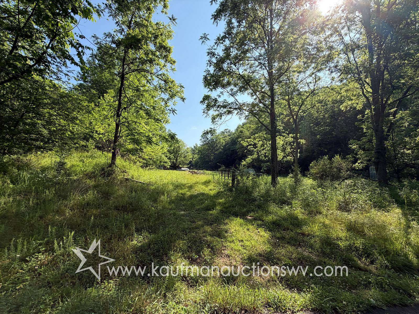 38.4 Acres of Land for Auction in Gassaway, West Virginia