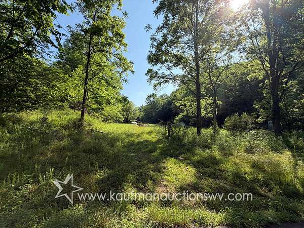 38.4 Acres of Land for Auction in Gassaway, West Virginia
