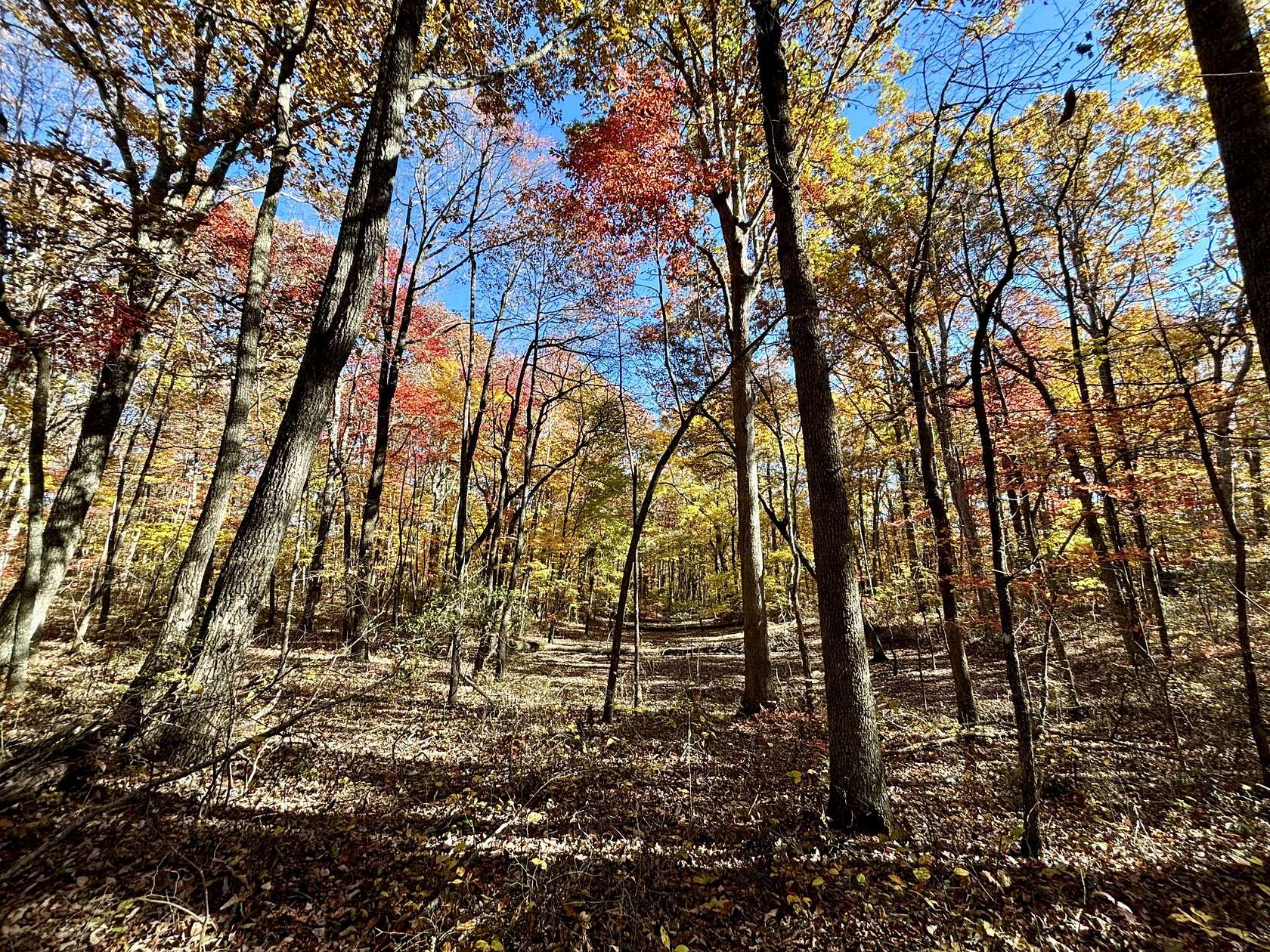 18 Acres of Recreational & Residential Land for Sale in McMinnville, Tennessee