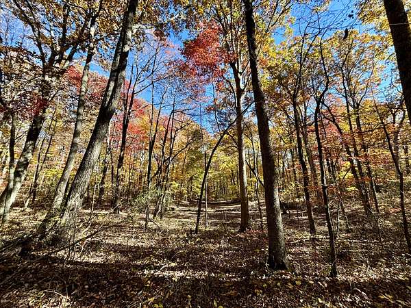 18 Acres of Recreational & Residential Land for Sale in McMinnville, Tennessee