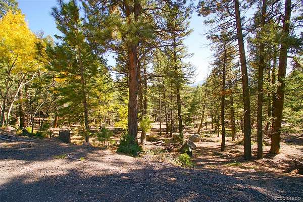 0.46 Acres of Land for Sale in Conifer, Colorado
