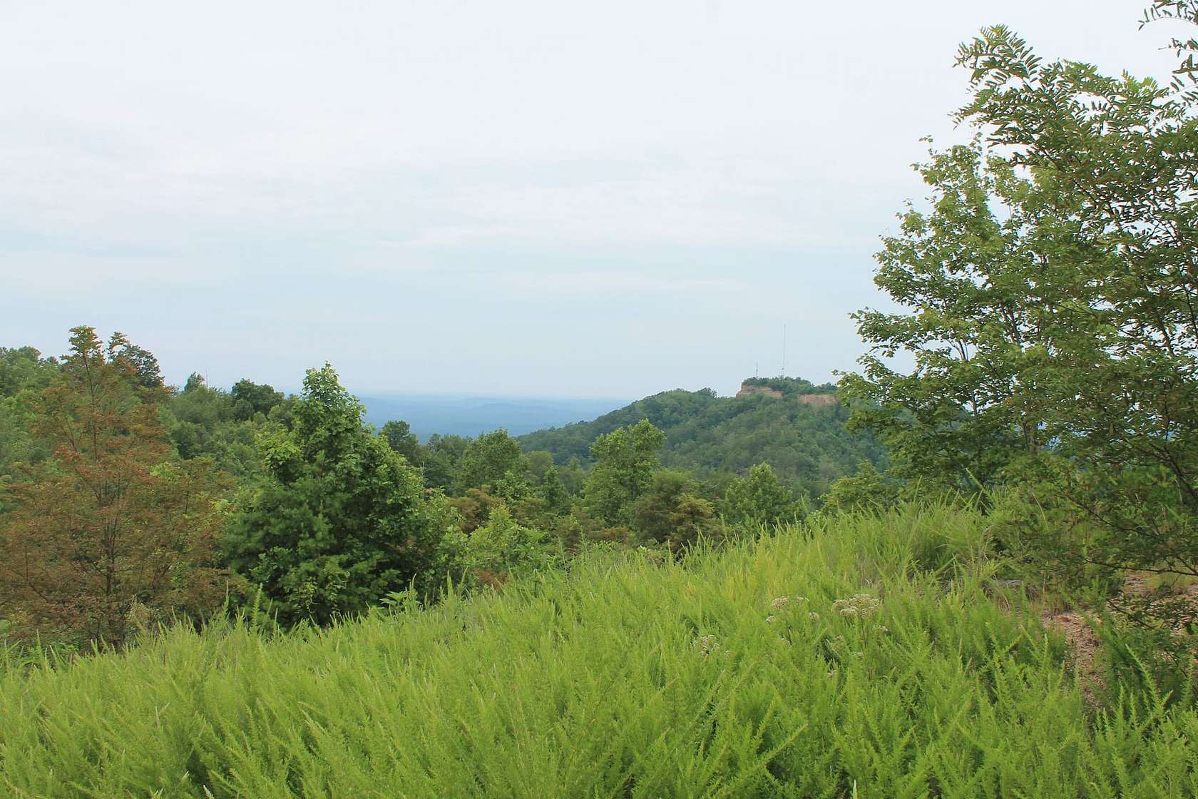 1,016 Acres of Recreational Land for Sale in Huntsville, Tennessee