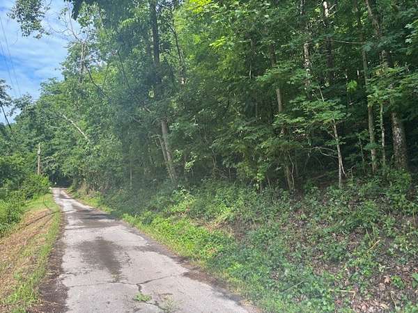 48 Acres of Recreational Land for Sale in Whites Creek, Tennessee