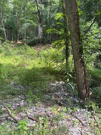 48 Acres of Recreational Land for Sale in Whites Creek, Tennessee
