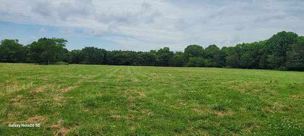 67 Acres of Land for Sale in Chapel Hill, Tennessee