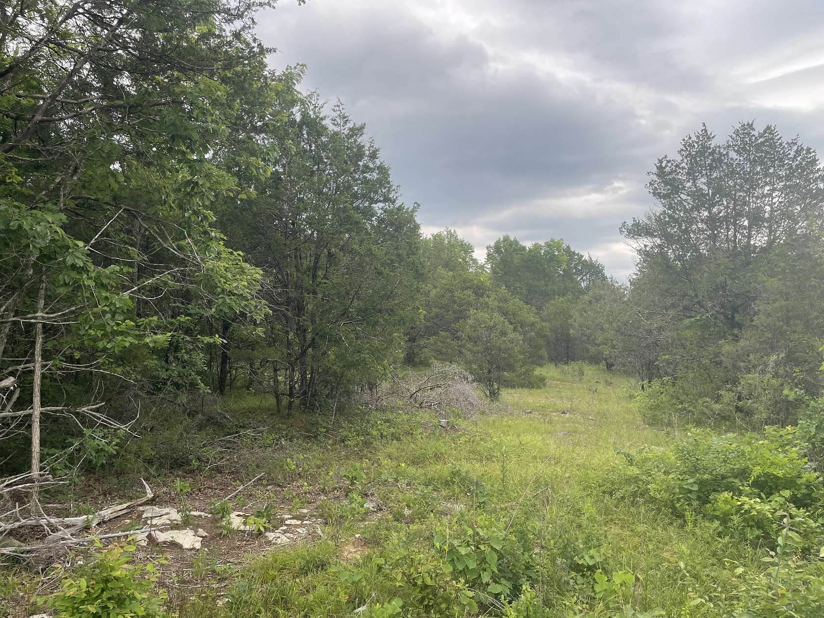 19 Acres of Recreational & Residential Land for Auction in Readyville, Tennessee
