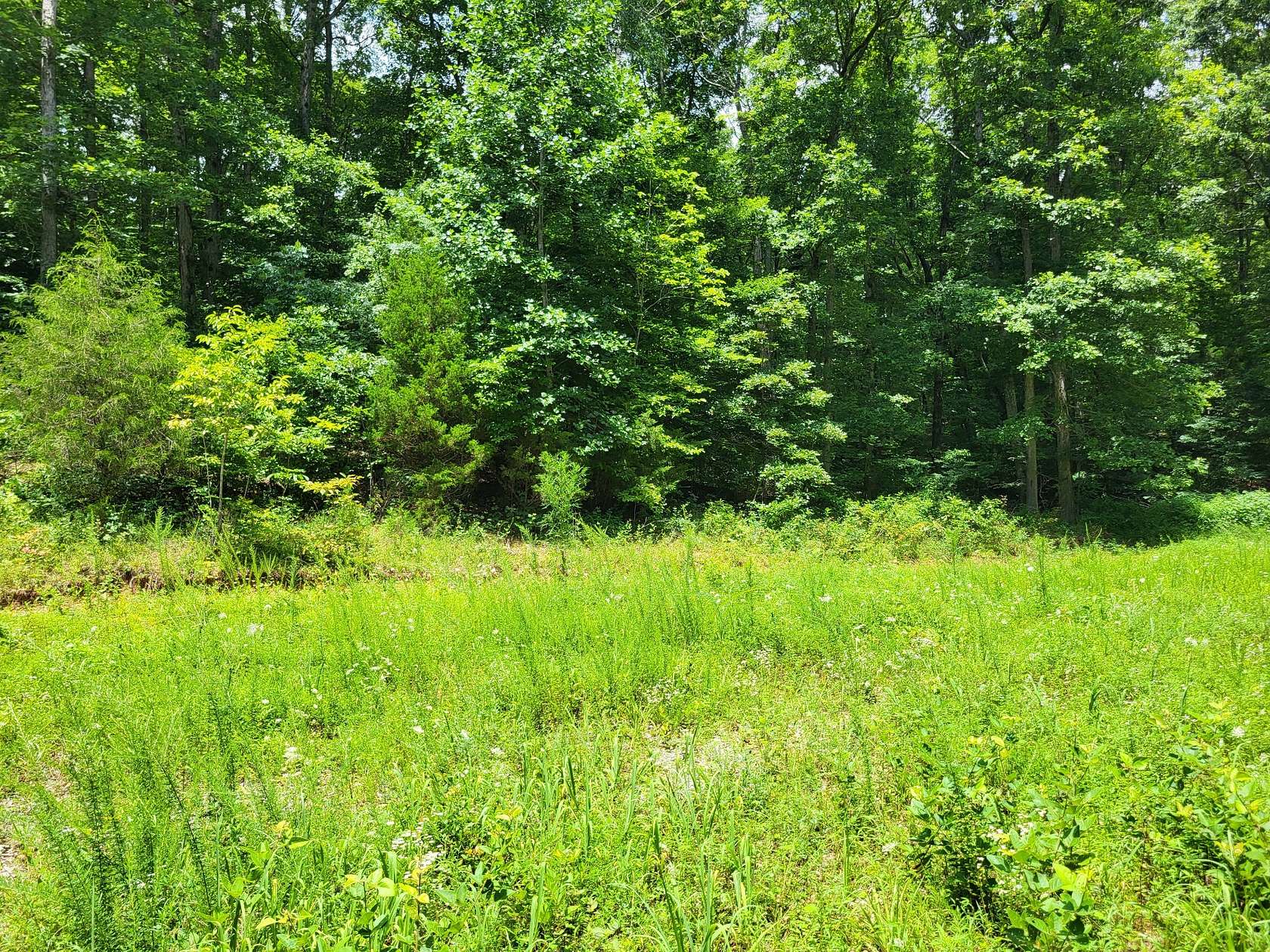2.4 Acres of Residential Land for Sale in Mosheim, Tennessee