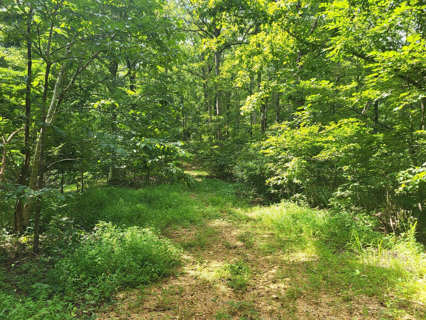 2.4 Acres of Residential Land for Sale in Mosheim, Tennessee