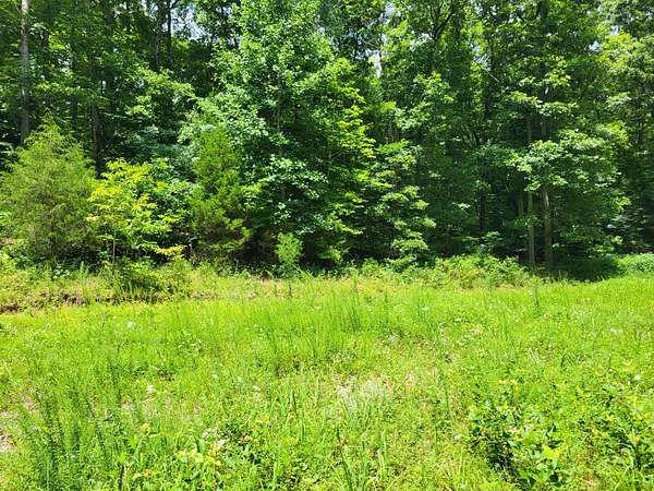 2.4 Acres of Residential Land for Sale in Mosheim, Tennessee