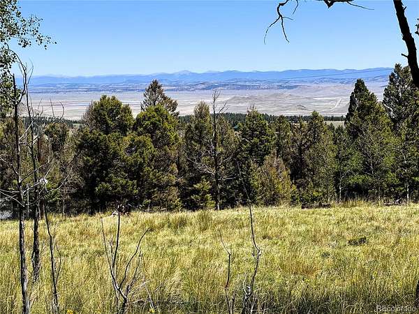 2.5 Acres of Residential Land for Sale in Hartsel, Colorado