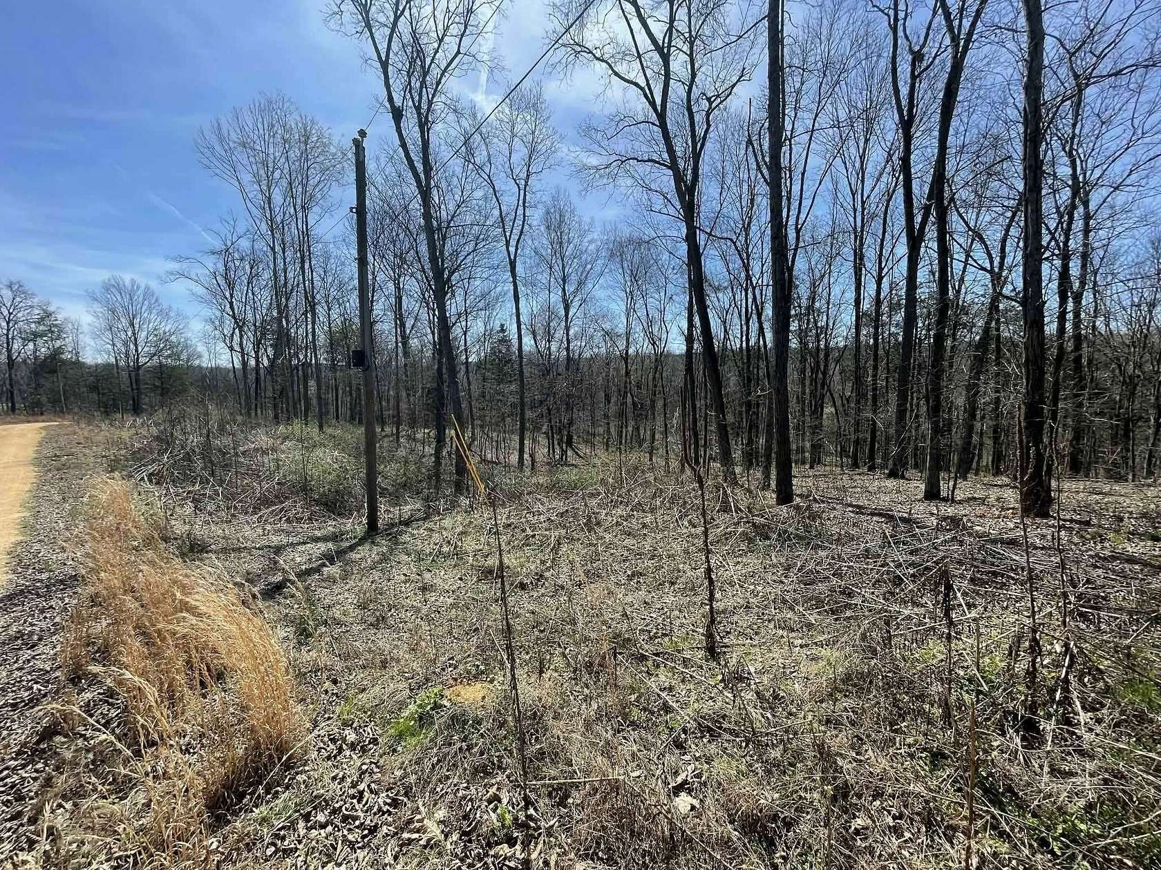 5 Acres of Land for Sale in Savannah, Tennessee