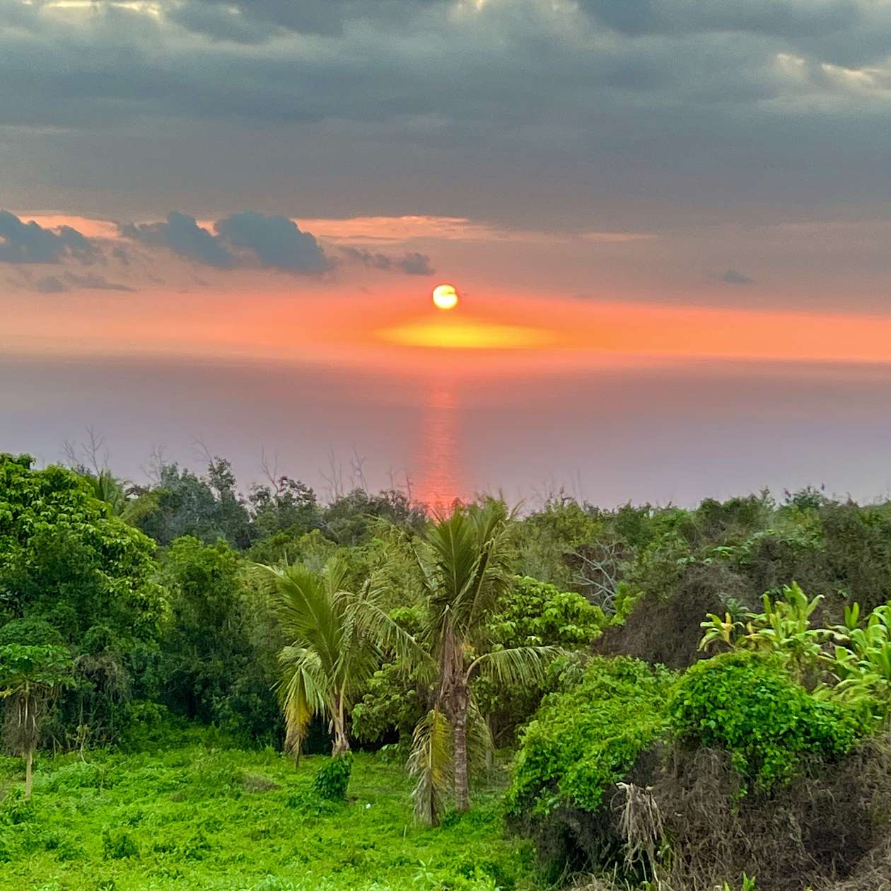 8 Acres of Land for Sale in Captain Cook, Hawaii