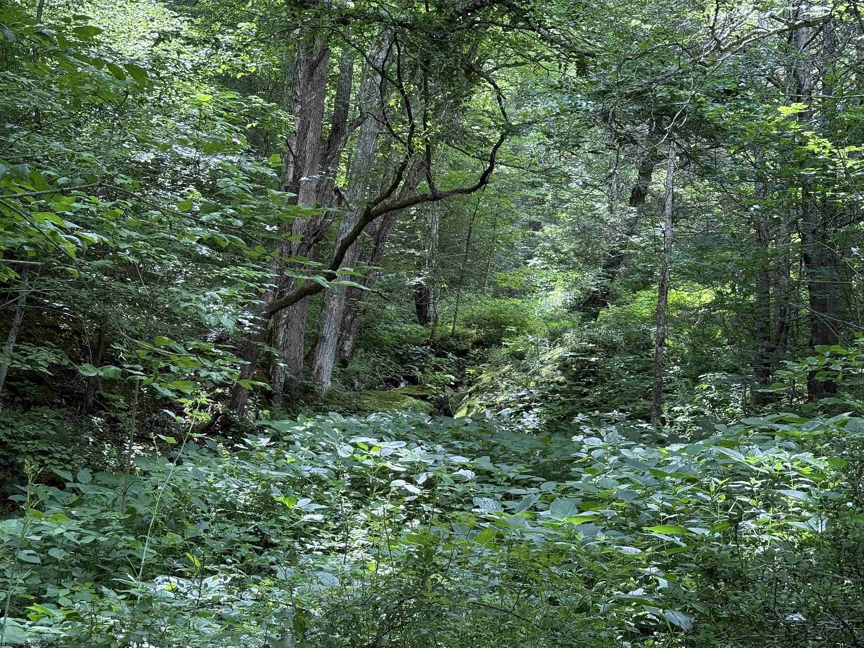 Residential Land for Sale in Harman, West Virginia