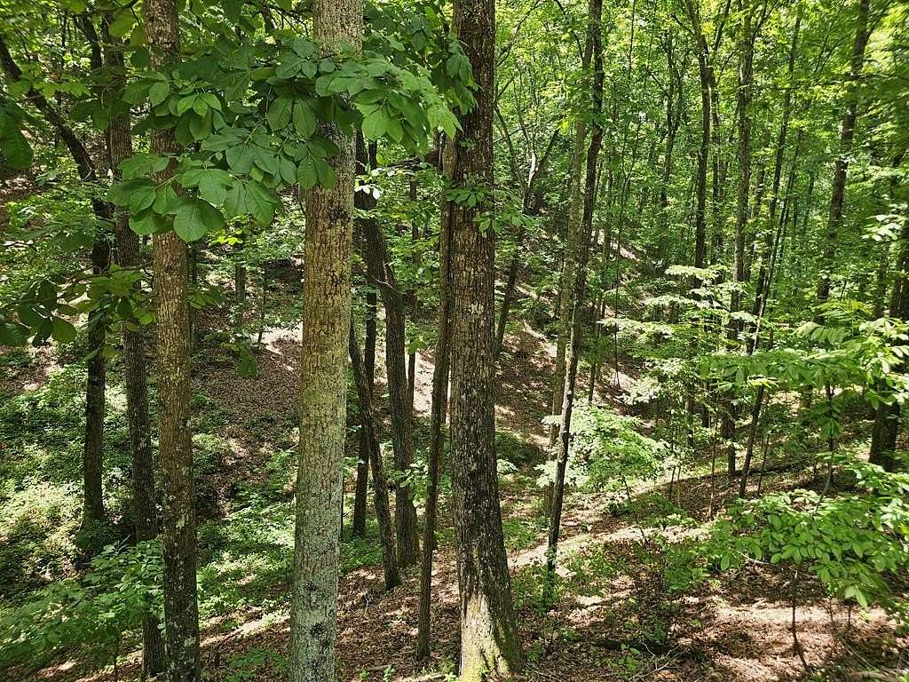 2 Acres of Residential Land for Sale in Ranger, Georgia