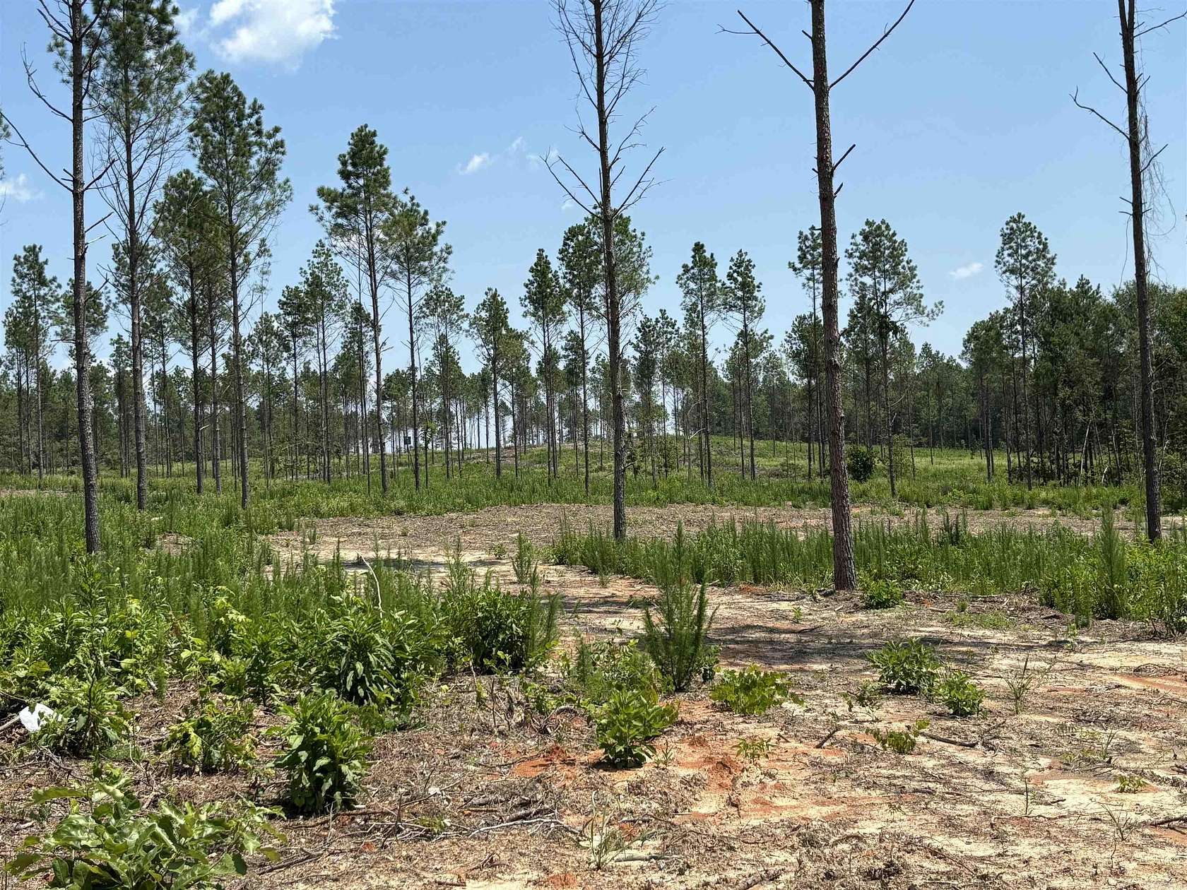 3.1 Acres of Mixed-Use Land for Sale in Sheridan, Arkansas