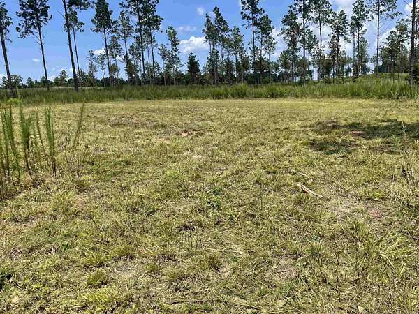3.1 Acres of Mixed-Use Land for Sale in Sheridan, Arkansas