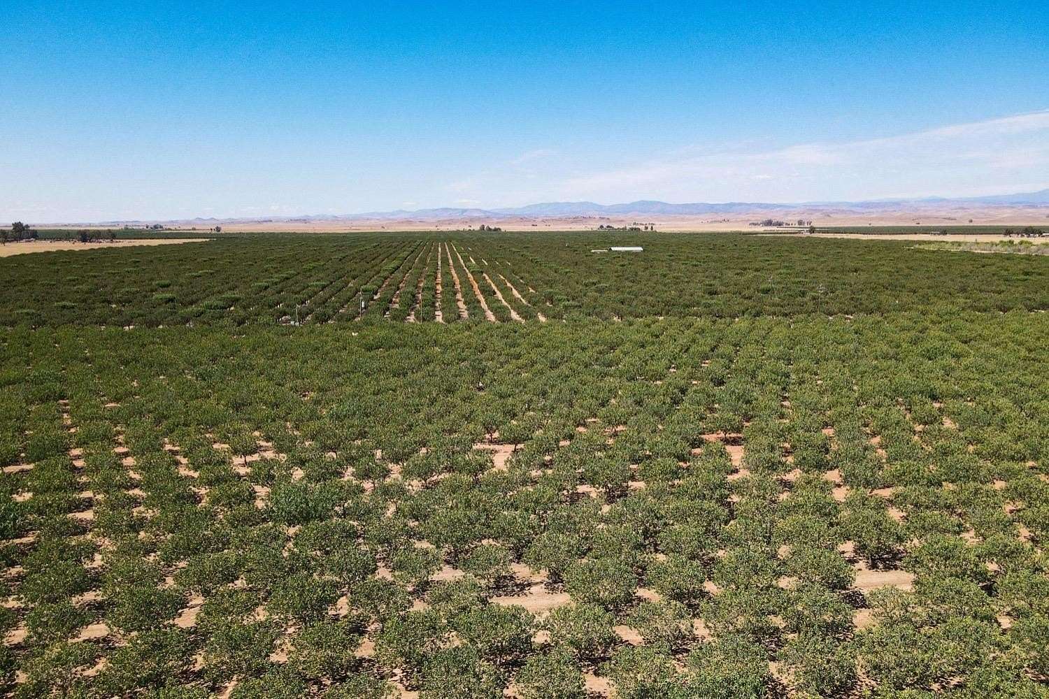 902 Acres of Land for Sale in Le Grand, California