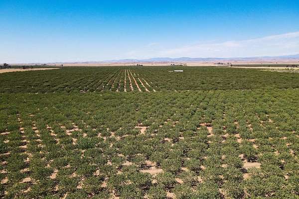 902 Acres of Land for Sale in Le Grand, California