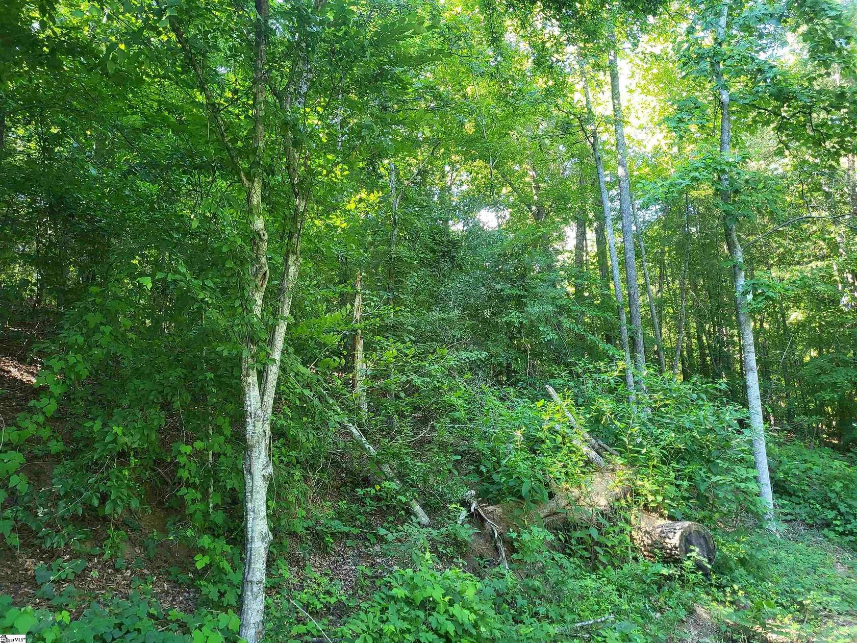 6.45 Acres of Residential Land for Sale in Marietta, South Carolina