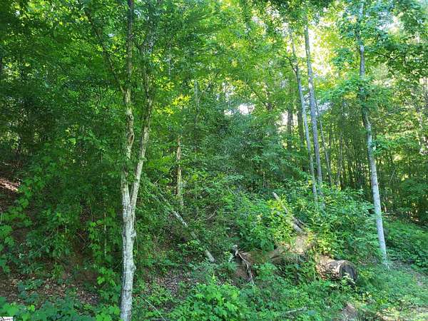 6.45 Acres of Residential Land for Sale in Marietta, South Carolina