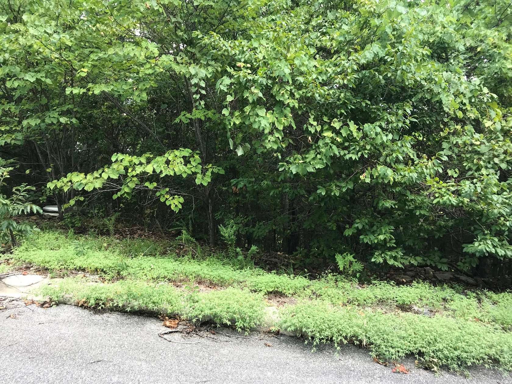 0.16 Acres of Residential Land for Sale in Hollister, Missouri