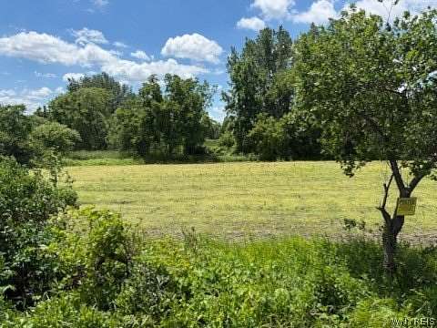 18.6 Acres of Land for Sale in Oakfield, New York