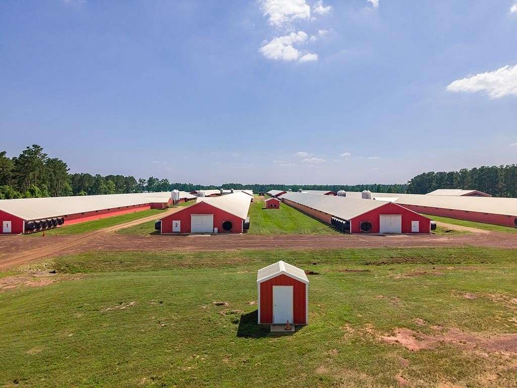 56 Acres of Agricultural Land for Sale in Douglass, Texas