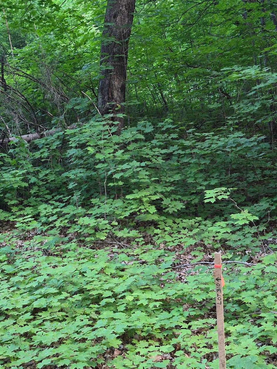 0.69 Acres of Land for Sale in McGregor, Minnesota